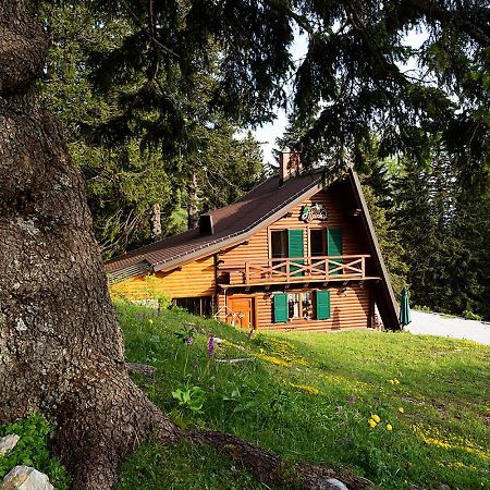 Chalet Alpinka Cerklje na Gorenjskem Exterior photo
