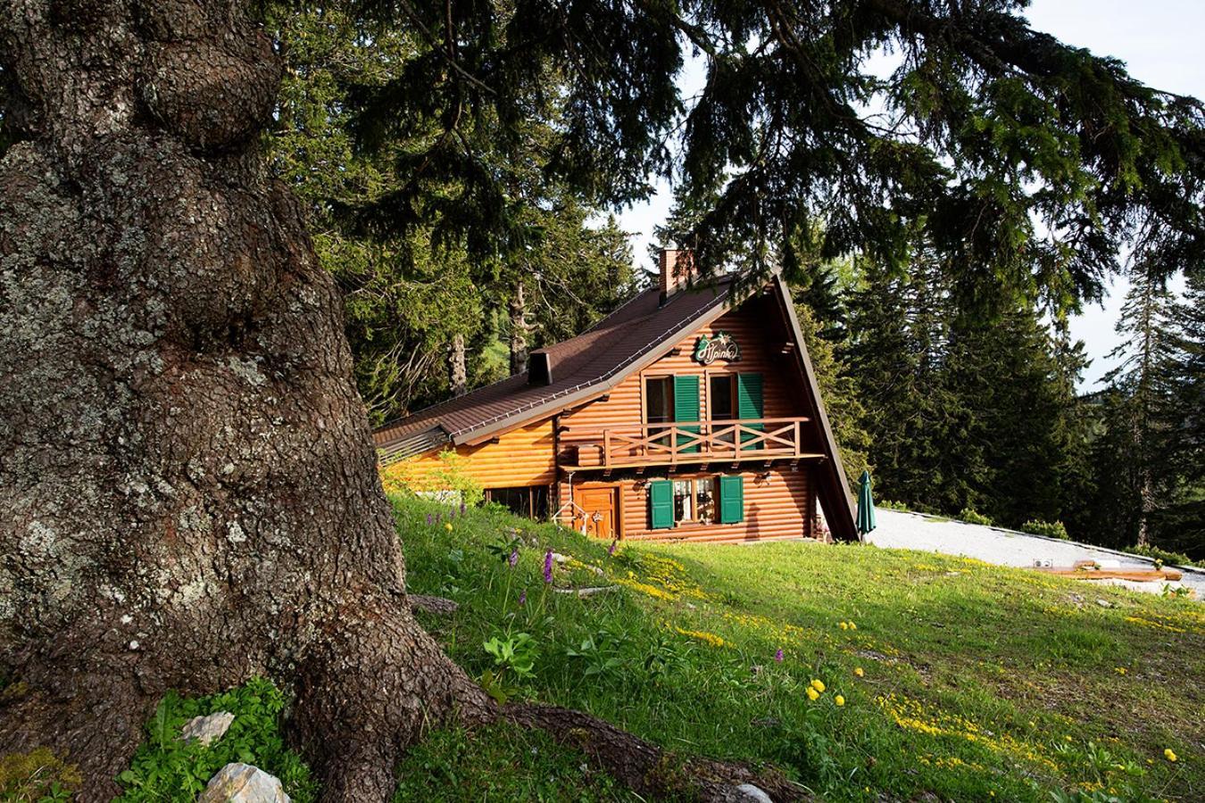 Chalet Alpinka Cerklje na Gorenjskem Exterior photo
